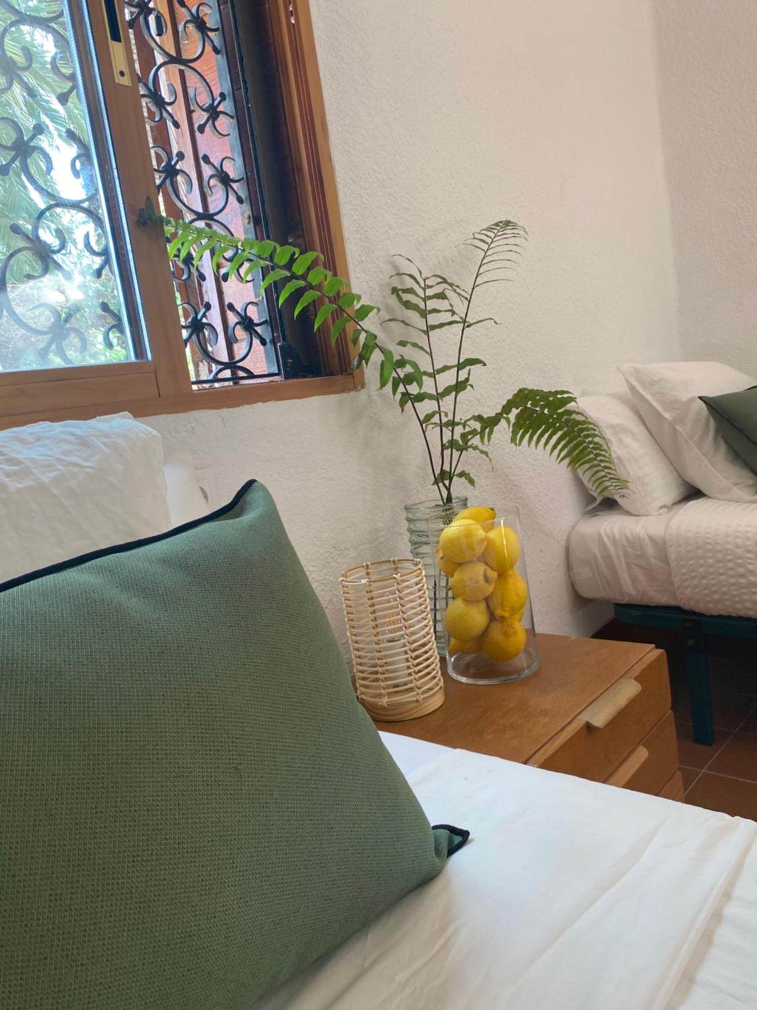 Pink Lemon House Bed & Breakfast เอลเช ภายนอก รูปภาพ