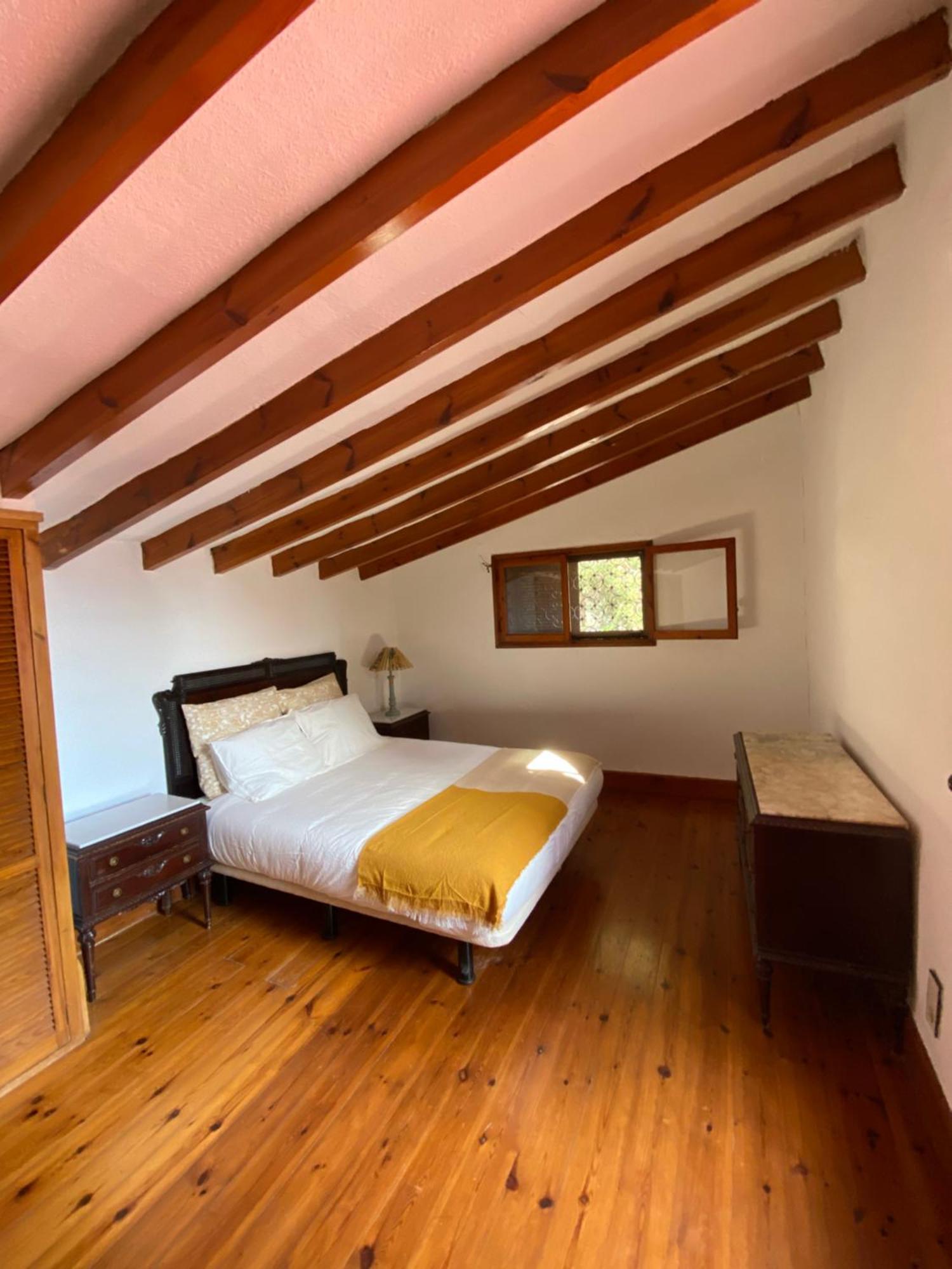 Pink Lemon House Bed & Breakfast เอลเช ภายนอก รูปภาพ